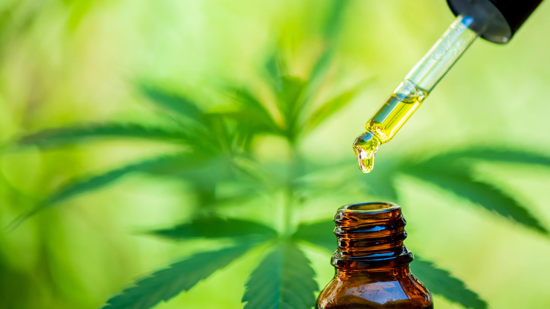 Understand how CBD oil can reduce anxiety